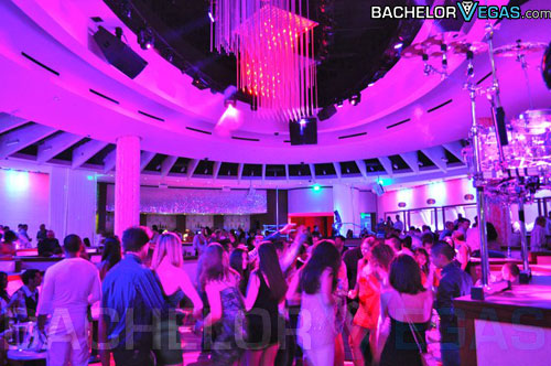 club Nikki Las Vegas