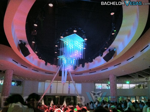 Nikki nightclub