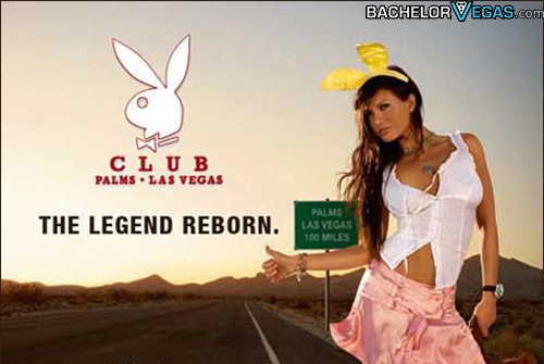playboy the club