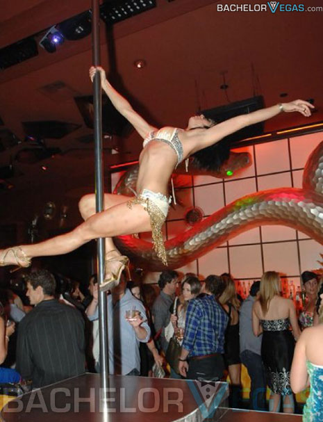 Surrender nightclub go go dancer
