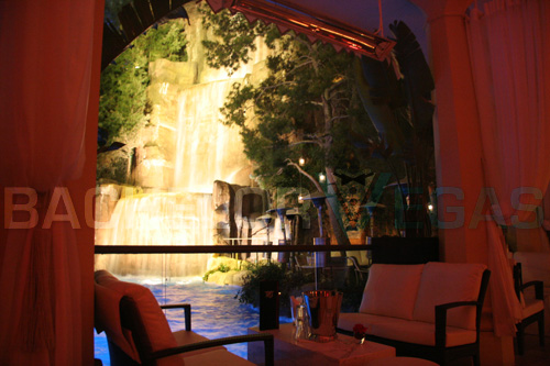 Tryst nightclub pool party