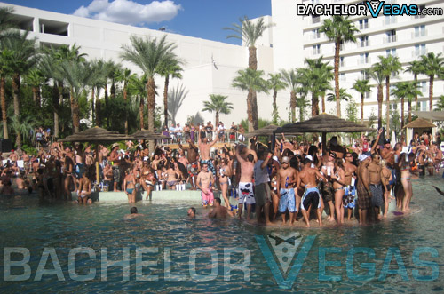 Rehab Las Vegas Rehab pool party Hardrock 