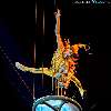 mystere show reservation