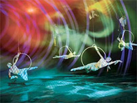 O by Cirque du Soleil