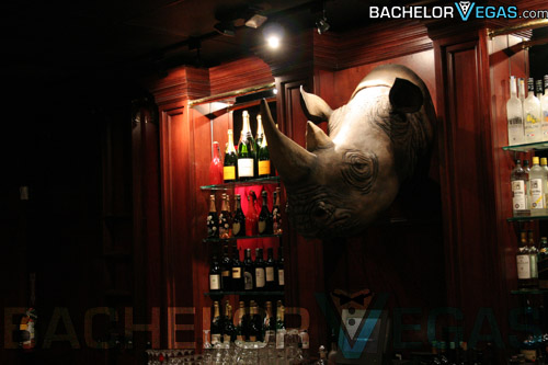 rhino bar