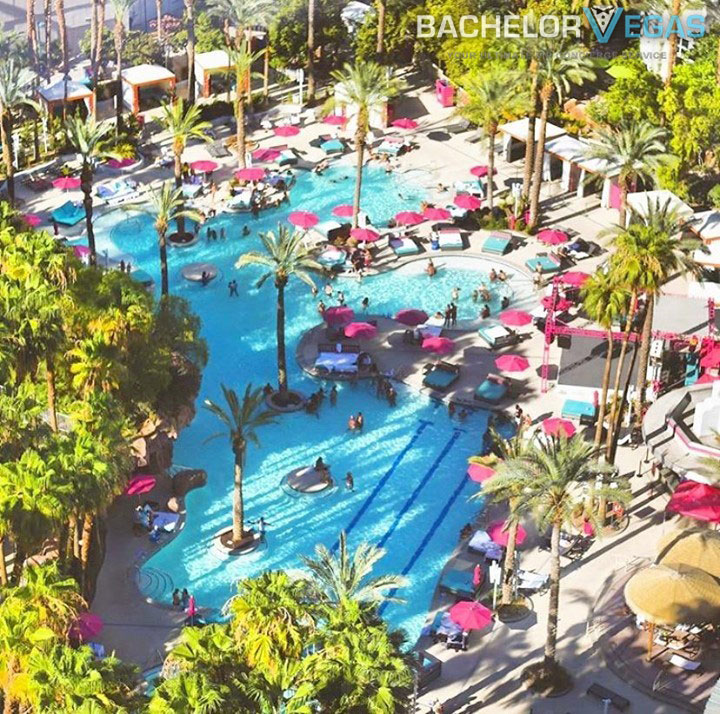 bachelor-las-vegas