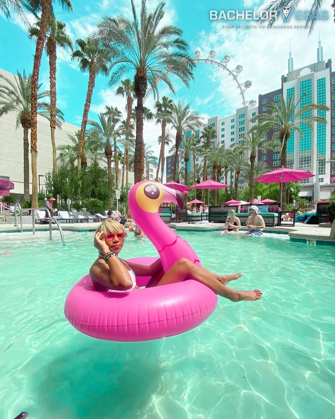 flamingo-in-pool