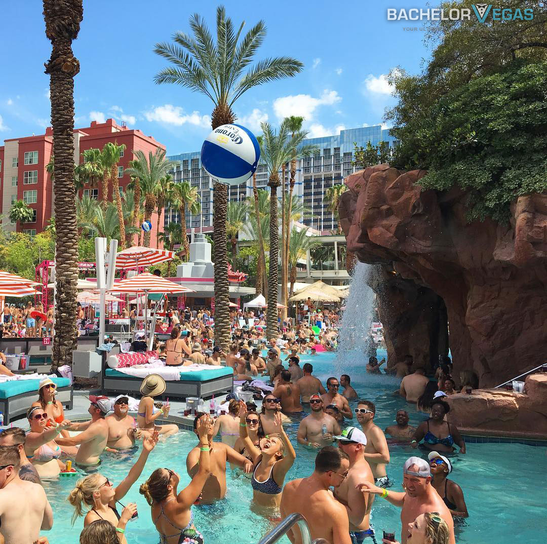 flamingo-las-vegas