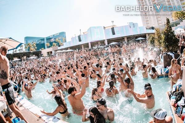 palm-tree-beach-club