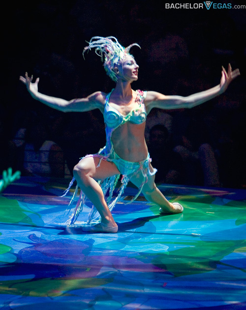 mystere ticket discount