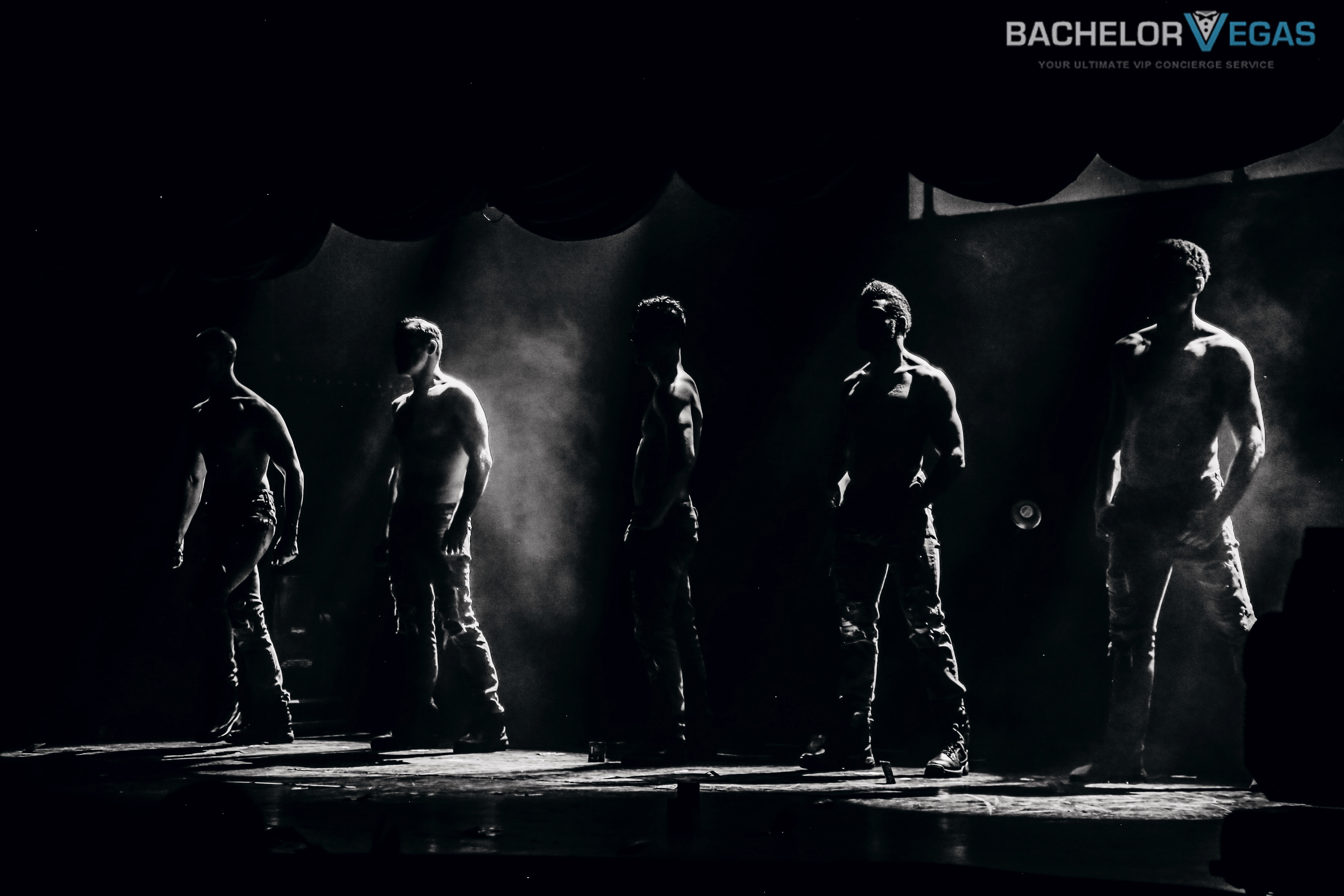 aussie-heat-male-revue